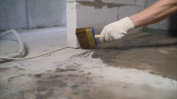 24/7 Emergency Waterproofing experts in Bluffton, SC